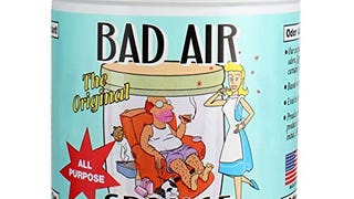 Bad Air Sponge Air Odor Absorbent, 14 ounce, 2-