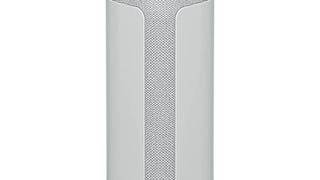 Sony SRS-XE300 X-Series Wireless Portable-Bluetooth-Speaker,...