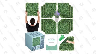 Boxwood Grass Wall Panels Backdrop