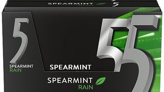 5 Gum Spearmint Rain Sugar Free Chewing Gum Bulk, 15 Stick...