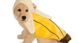 Rubies Banana Pet Costume, Medium for Themed Parties and...