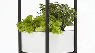 Miracle-Gro Twelve Indoor Growing System, Side Table with...