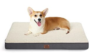 Bedsure Medium Dog Bed for Medium Dogs - Orthopedic Dog...