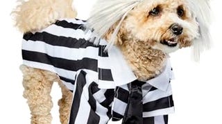 Rubies Beetlejuice Pet Costume, X-Large for Themed Parties...