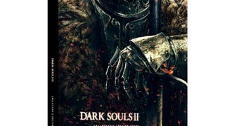 Dark Souls II Guide