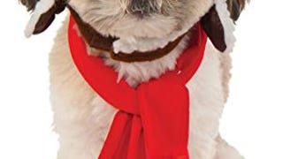 Rubie's Pet Aviator Hat and Scarf Set, Medium/