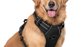 rabbitgoo Dog Harness No Pull with 2 Leash Clips, Adjustable...