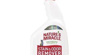 Nature's Miracle Stain and Odor Remover, Spot Stain and...