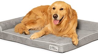 PetFusion BetterLounge Orthopedic Dog Bed | Solid CertiPUR-...