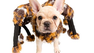 Pet Krewe PK00201 Spider Costume for Small Dogs