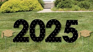 Big Dot of Happiness Gold 2025 Graduation Party Yard Signs...