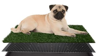 Artificial Grass Puppy Pee Pad for Dogs and Small Pets...