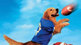 Air Bud: Golden Receiver