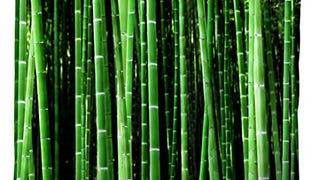 Kikkerland Shower Curtain, Bamboo