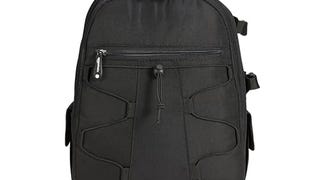 Amazon Basics Backpack for SLR Cameras and Accessories-...