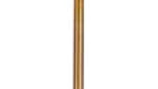 SAFAVIEH FLL4006A Lighting Collection Renato 63.5" Brass...