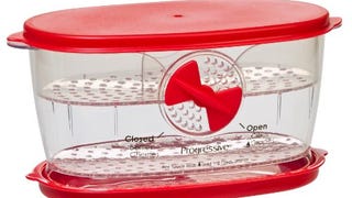 Prepworks by Progressive Berry Keeper,Red