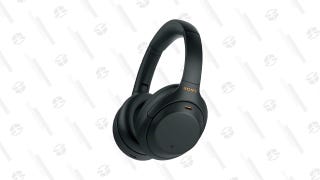 Sony WH-1000XM4 Active Noise Canceling Headphones