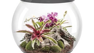 biOrb biOrbAIR 60 LED Terrarium - 16 gallon, grey,