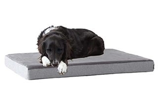 Barkbox Memory Foam Platform Dog Bed | Plush Mattress for...