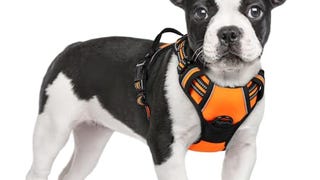 rabbitgoo Dog Harness, No-Pull Pet Harness with 2 Leash...