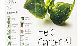 Plant Theatre Seeds for Planting - Outdoor and Indoor Herb...