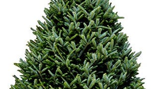 Hallmark Real Christmas Tree, Fraser Fir, 6 Foot To 7 Foot,...