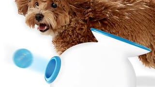 iFetch Interactive Ball Launcher for Dogs – Launches Mini...