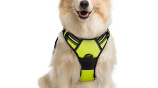 rabbitgoo Dog Harness, No-Pull Pet Harness with 2 Leash...