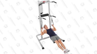 Bowflex BodyTower