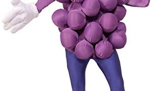 Forum Novelties Adult Grapes Costume, Purple,