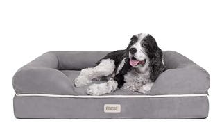 Friends Forever Large Dog Bed, Orthopedic Dog Sofa Memory...