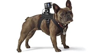 GoPro Fetch Dog Harness - Official GoPro Mount