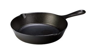 Lodge 8 Inch Cast Iron Pre-Seasoned Skillet – Signature...