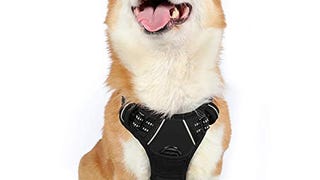 rabbitgoo Dog Harness, No-Pull Pet Harness with 2 Leash...