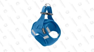 Frisco Small Breed Soft Vest Dog Harness