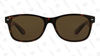 Bayfront Sunglasses