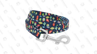 Pixar Toy Story Dog Leash