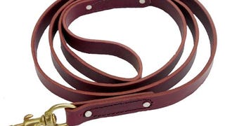 Ray Allen Mfg Signature K9 Heavy Leather Leash, 6-Feet...