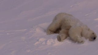 From Pole to Pole (Narrator - David Attenborough)