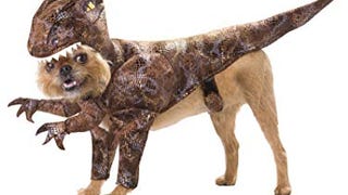 Animal Planet Raptor Dog Costume Small