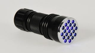21 LED 395 nM UV Ultra Violet Blacklight Flashlight
