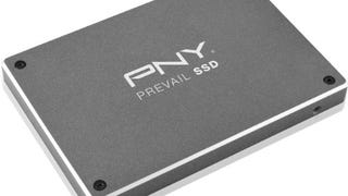 PNY Prevail 240GB 2.5-Inch Ultimate Endurance Solid State...