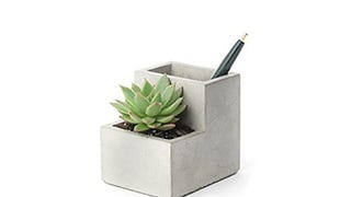 Kikkerland Concrete Desktop Planter, Small (PL02-S)