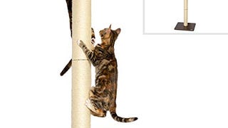 PetFusion Ultimate Cat Climbing Tower & Activity Tree. (24...