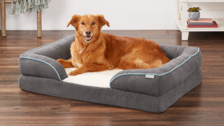 Frisco Plush Orthopedic Pet Bed