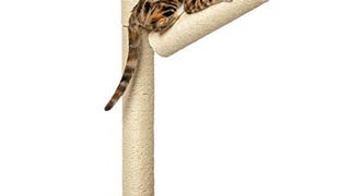 PetFusion Branch-Out Cat Scratching Post. 28" Tall Vertical...