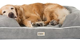 Friends Forever Large Dog Bed, Orthopedic Dog Sofa Memory...