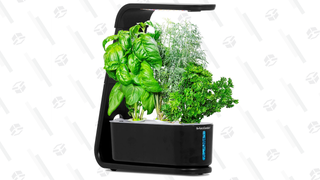 AeroGarden Sprout