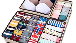 MIU COLOR Foldable Closet Underwear Organizer Drawer Divider...